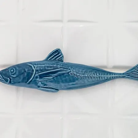 Feel - Abegoarias 62 *