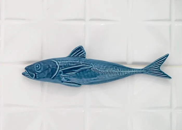 Feel - Abegoarias 62 *